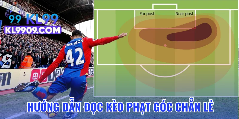 Hướng dẫn đọc kèo cược phạt góc Chẵn Lẻ